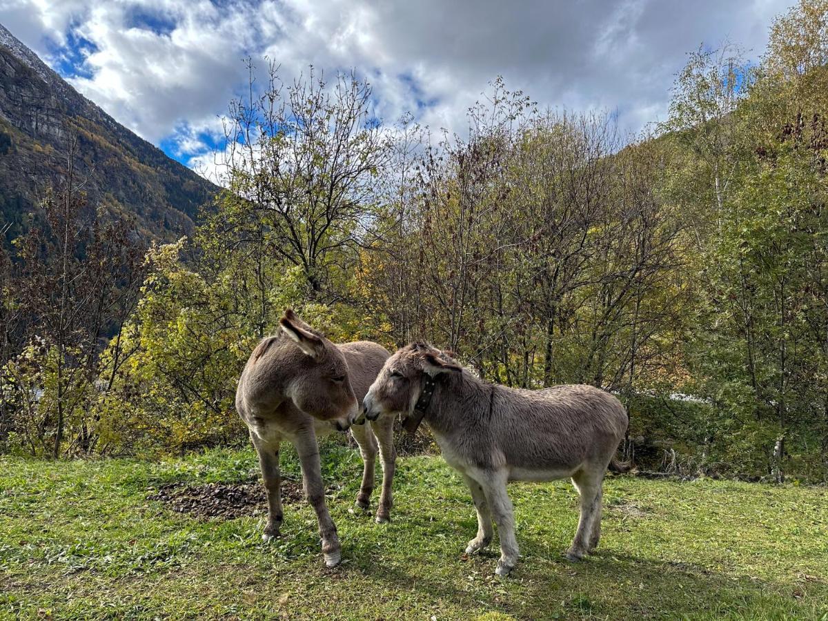 Cozyloge, Orelle & Les 3 Vallees 외부 사진